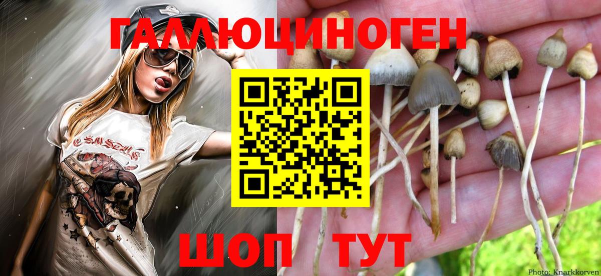 Галлюциногенные грибы MAGIC MUSHROOMS Крымск