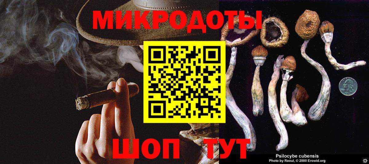 Крымск  Галлюциногенные грибы MAGIC MUSHROOMS  Вход с VPN  Галлюциногенные грибы MAGIC MUSHROOMS 